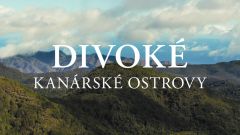 Divoké Kanárské ostrovy