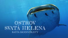 Ostrov Svatá Helena, bašta biodiverzity