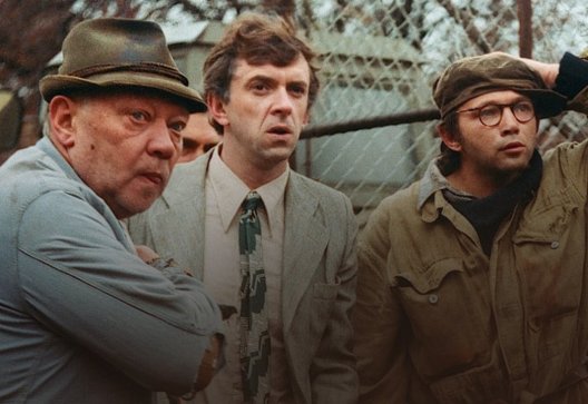 Slavnosti sněženek