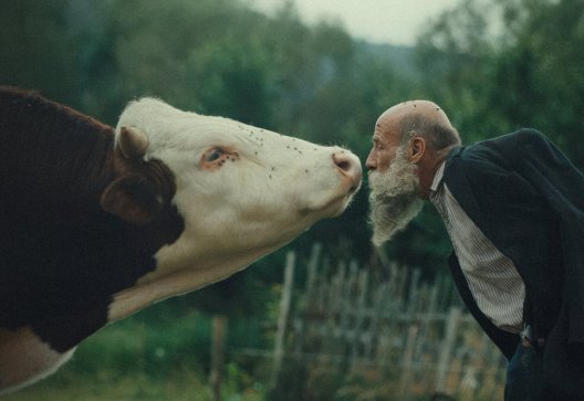 Raději zešílet v divočině