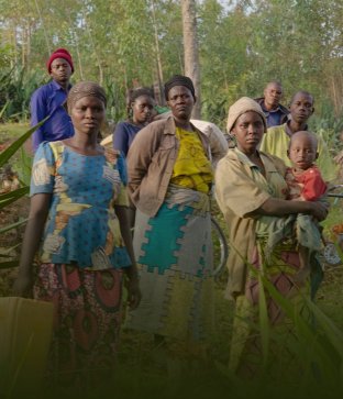 Jeden z tisíců kopců