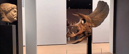 Rubens ne, dinosauři ano