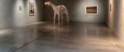 Pinkava a Zelinka o pomíjivosti