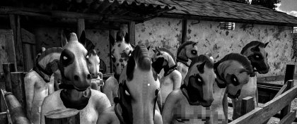 120 dní farmářské Sodomy