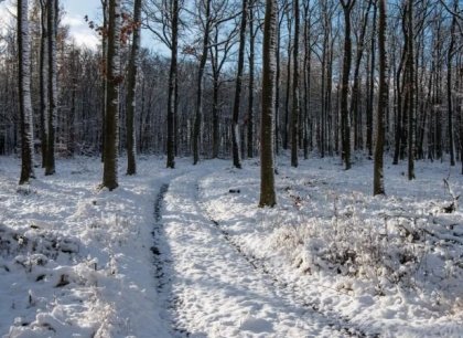 Kdy a kde bude na Štědrý den sněžit?