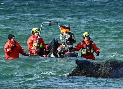 Uvázlá velryba se uvolnila z německé mělčiny