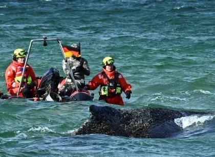 Další šance pro Timmyho