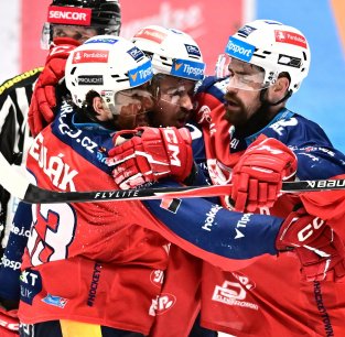 Pardubice jsou titulu blíže, Třinec porazily 2:1