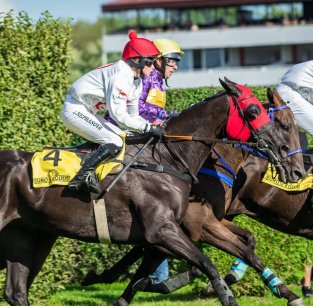 Kdo je na startu Velké pardubické?