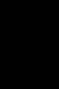 Výstražná stávka